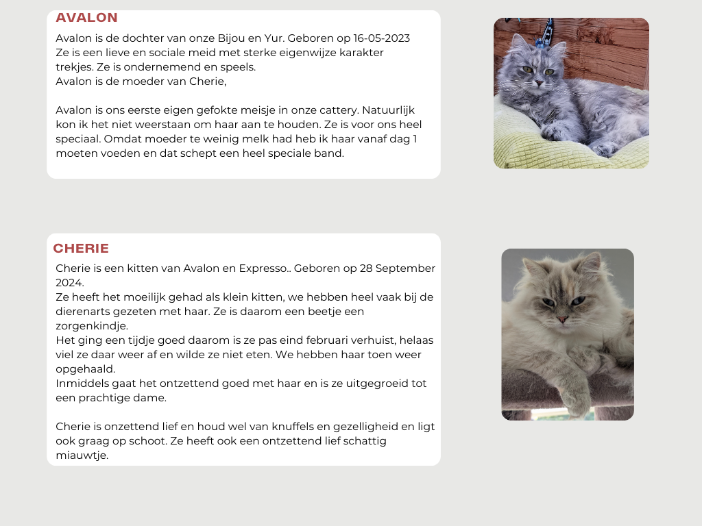 beige and orange professional corporate comparison chart table graph