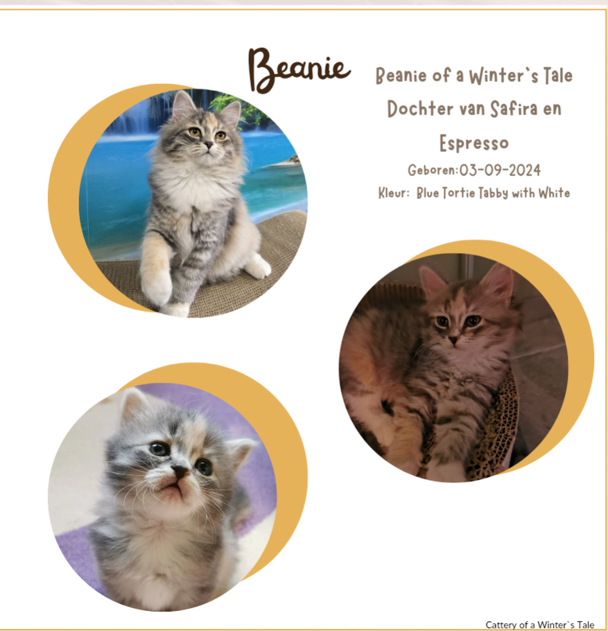 screenshot 20260102 171450